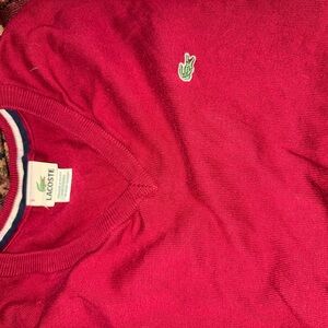 Lacoste Men's V-Neck Sweater